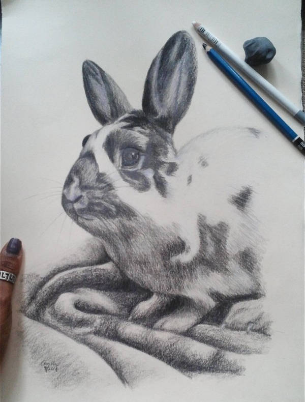 Realistic Bunny Drawing