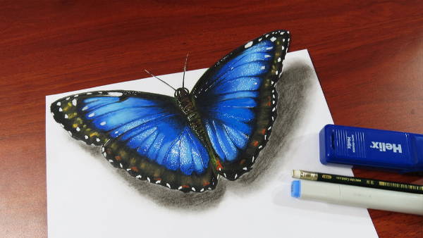Realistic Butterfly Drawing