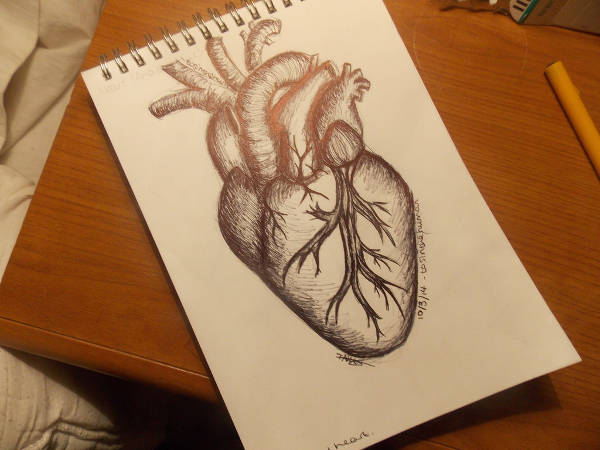 Realistic Heart Drawing