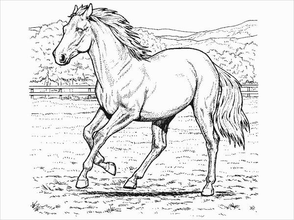 Realistic Horse Coloring Page