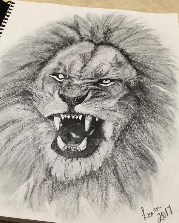 Cartoon Lion Drawing Realistic - Drawing Skill