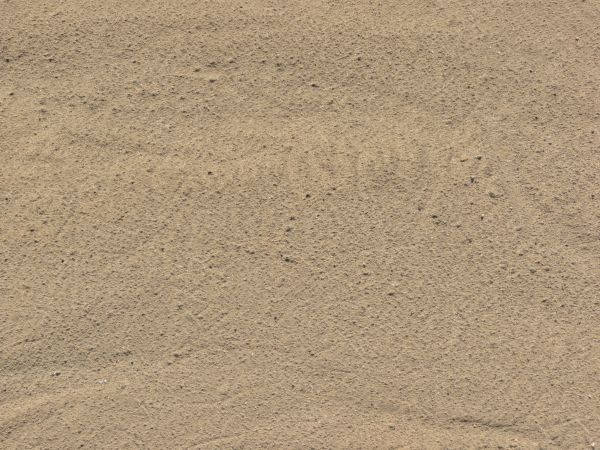 Rocky Sand Texture