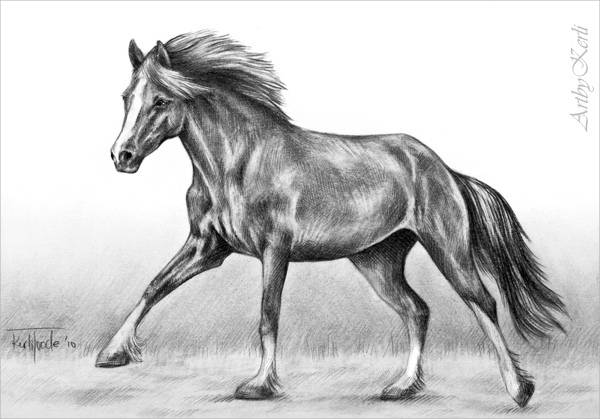 Bullet with Butterfly Wings, Dynamic Realistic Horse Drawing, Charcoal on  Paper, 2019 | Chairish