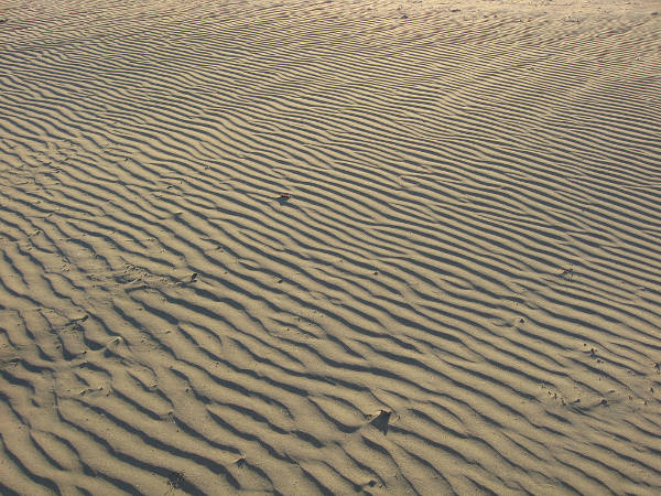 Sand Dune Texture