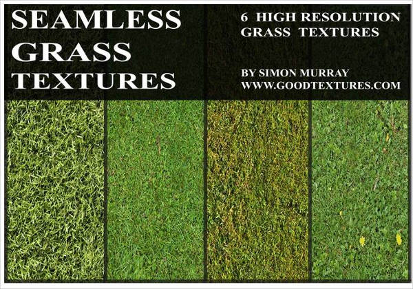 Seamless Grass Texture