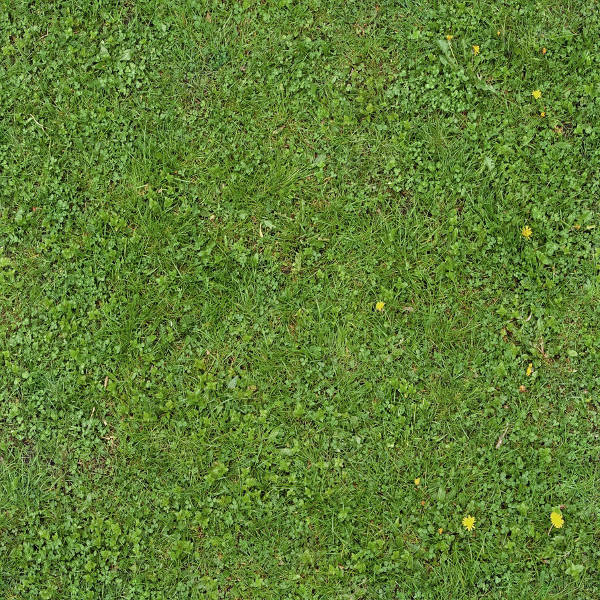 Seamless Green Grass Texture