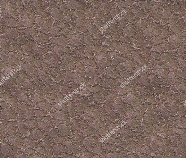 Seamless Soil Texture