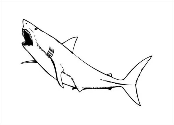 Shark Mouth Coloring Page