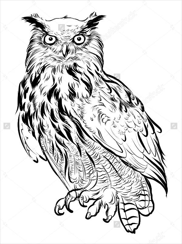 FREE 8+ Owl Silhouettes in Vector EPS | AI