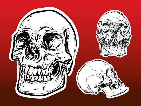 Skull Outline Vector