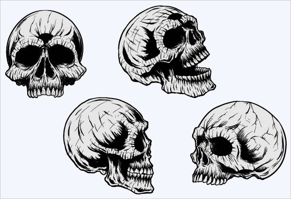 Skull Vector Clip Art
