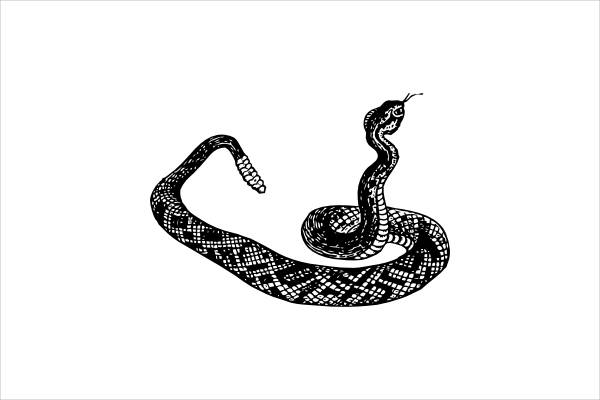 Snake Black and White Clipart