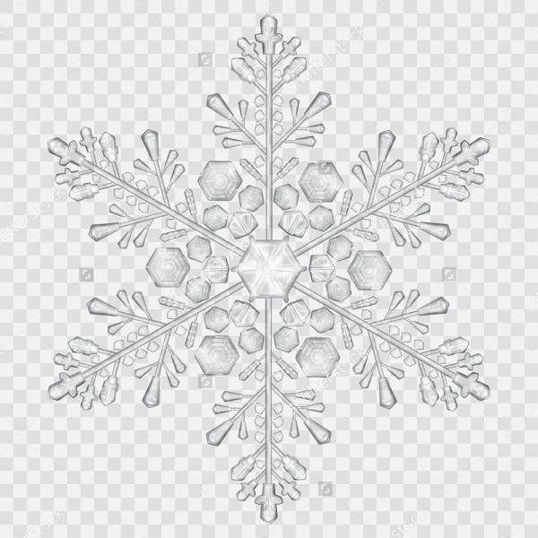 Snowflake Vector Drawing