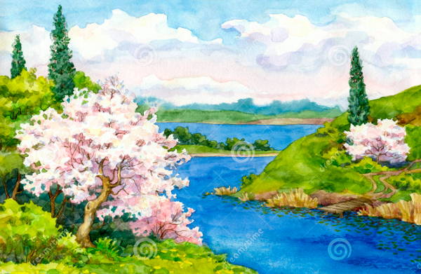 Spring Landscape Image