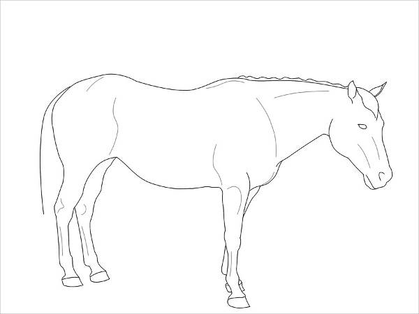 Standing Horse Drawing