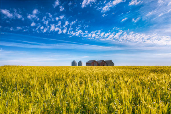 Summer Landscape Photography