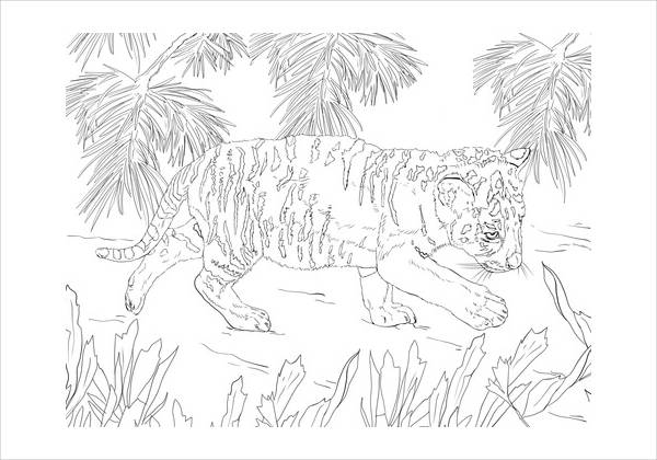 Tiger Cub Coloring Page