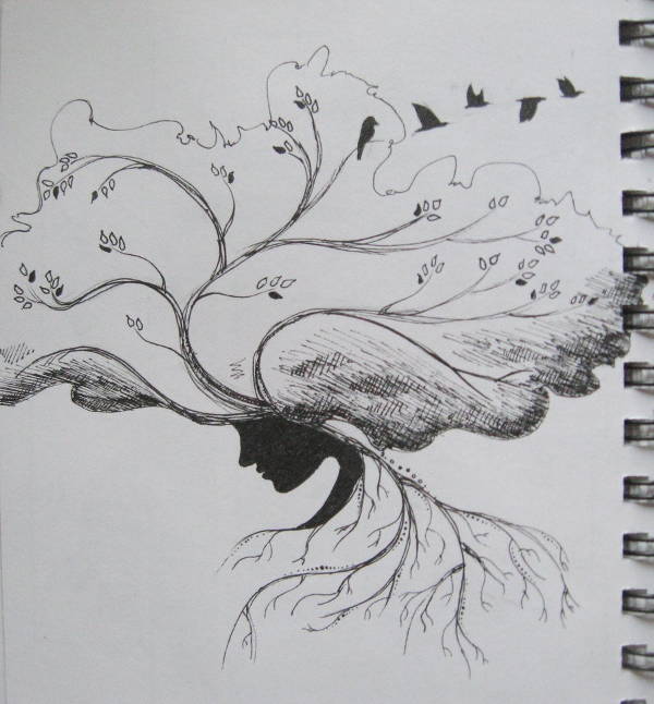 Tree Pencil Drawing