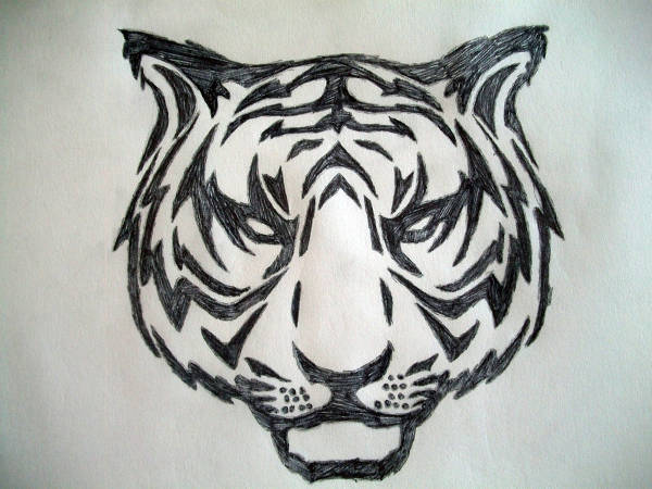 Tribal Tiger Drawing