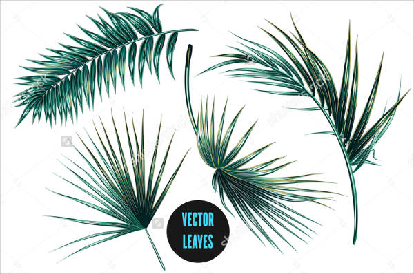 Tropical Leaf Vector