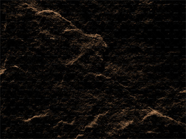 Underground Dirt Texture