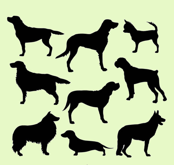 Variety of Dog Silhouettes