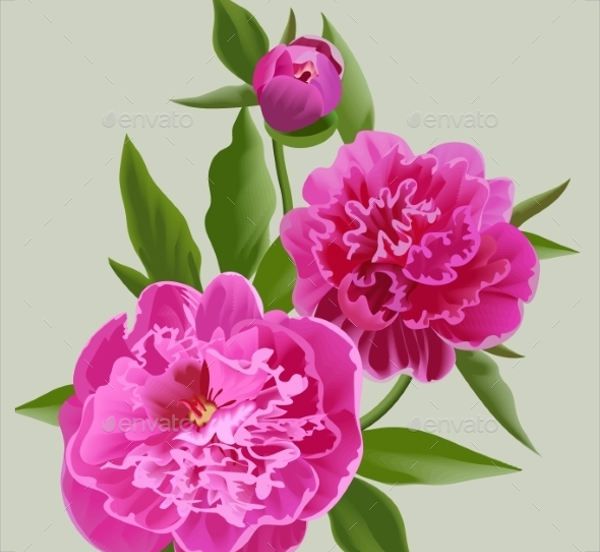 Vector Flower Illustration