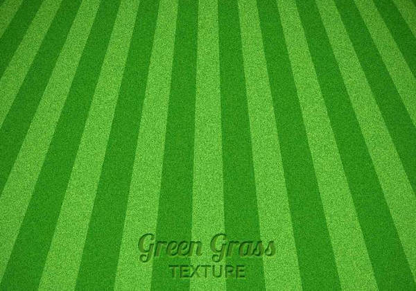 Vector Grass Texture