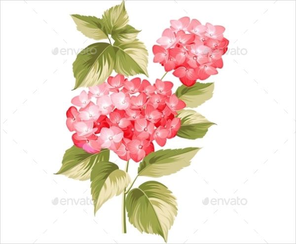 Vintage Flower Illustration