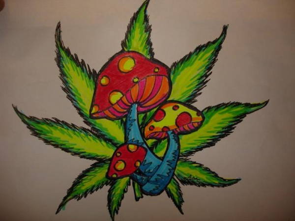 Cool Weed Leaf Drawings