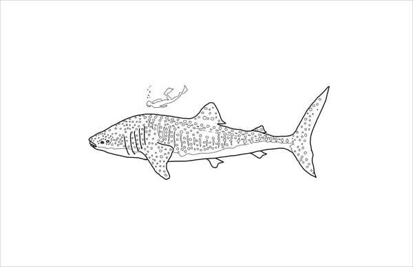 Whale Shark Coloring Page