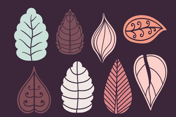 Winter Leaf Vector 