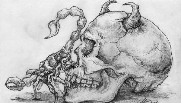 cool skull drawings in pencil