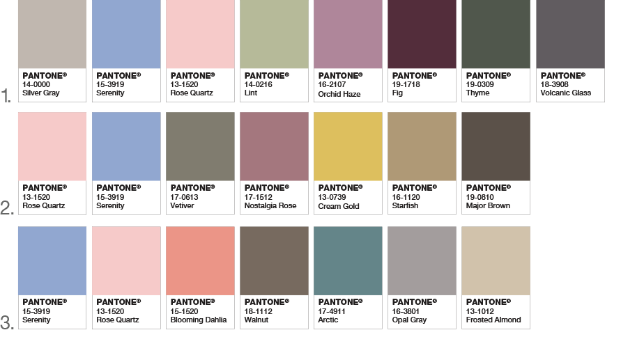 COY2016-Palettes