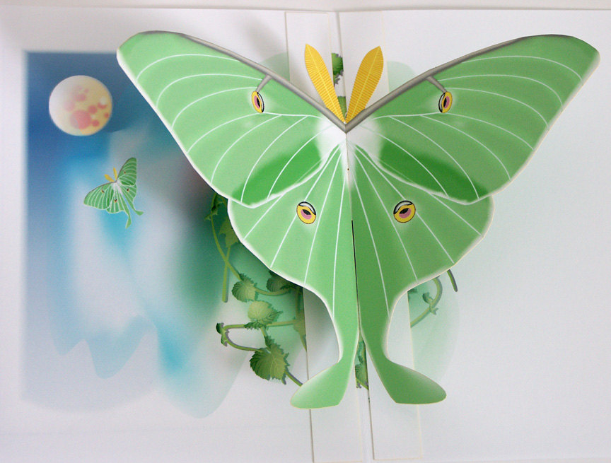 3D Luna Moth Pop Up Card